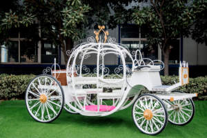 Carruaje Eléctrico de Princesa Cenicienta con Luces LED, Control Remoto, Juego de Disfraces para Niños, Decoración para Fiestas y Fotografía - Product Image 2