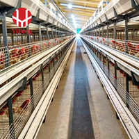 Cage à poulets de type H, cage automatique à 5 niveaux, alimentation et abreuvement, système de collecte des œufs, abreuvoir à tétine, galvanisée