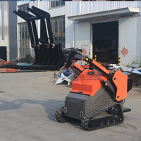 Mini Skid Steer Loader Efisiensi Tinggi dengan Chassis Beroda Rantai dan Bucket untuk Perawatan Properti, Pengiriman Cepat