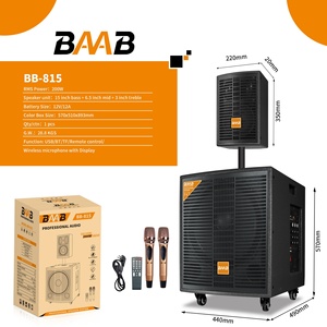 Subwoofer Audio Professionnel NDR 15 Pouces Extérieur Haute Performance avec LED RGB, pour Enceinte Bluetooth à Batterie, Idéal pour Soirées Dansantes - Product Image 2