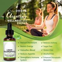 Clorofila Líquida de Marca Privada 59ml, Suplemento Detox para la Piel, Venta al por Mayor, Orgánica, a Granel