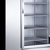 Réfrigérateur à barre arrière Wetruth, refroidissement par air forcé, technologie avancée, vertical, pour restaurant, cuisine, réfrigérant R290