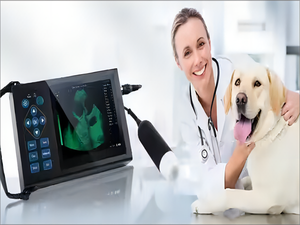 Hotsale thú y di động cầm tay không dây cơ khí máy siêu âm Máy quét cho động vật chó bò bác sĩ thú y - Product Image 3