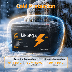 Batería de Almacenamiento de Energía de Fosfato de Hierro y Litio Expandible con BMS Inteligente LiFePO4 de Ciclo Profundo <span class=keywords><strong>12V</strong></span> <span class=keywords><strong>8Ah</strong></span> 96WH - Almacén en Alemania - Product Image 5
