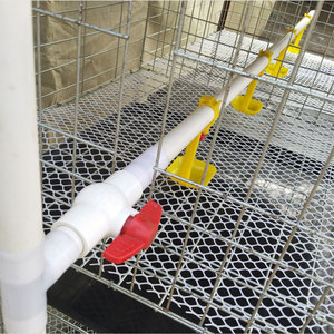 2020 Venta caliente automático sistema <span class=keywords><strong>de</strong></span> agua potable aves <span class=keywords><strong>de</strong></span> <span class=keywords><strong>corral</strong></span> <span class=keywords><strong>de</strong></span> engorde jaula <span class=keywords><strong>de</strong></span> pollo - Product Image 6
