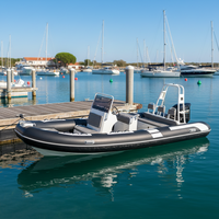 Bateaux gonflables en PVC/Hypalon à Double coque en aluminium 600, haute Performance, 20 pieds