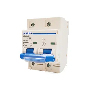 SeanRo DC-Leistungs schalter 2-poliger 80-A-Miniatur-Leistungsschalter 100-A-MCB-Leistungsschalter