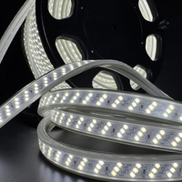 Lampu Konstruksi Portabel AC230V Lampu Strip Fleksibel Epistar 80M PVC Tahan Air IP65 CRI Tinggi>83 Dapat Diredupkan Industrial