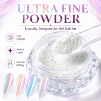Poudre à ongles Aurora Premium 0,2g Pigment holographique néon chrome Effet gelée glacée Poudre de paillettes pour nail art Matière première en gros
