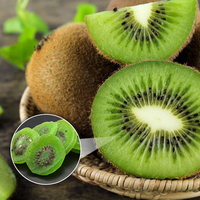 Jumbo Ronde Gedroogde Gele Kiwi Zoete Gezonde Snack Natuurlijk Gedroogd Fruit Koel Droog Opbergen Bulkverpakking