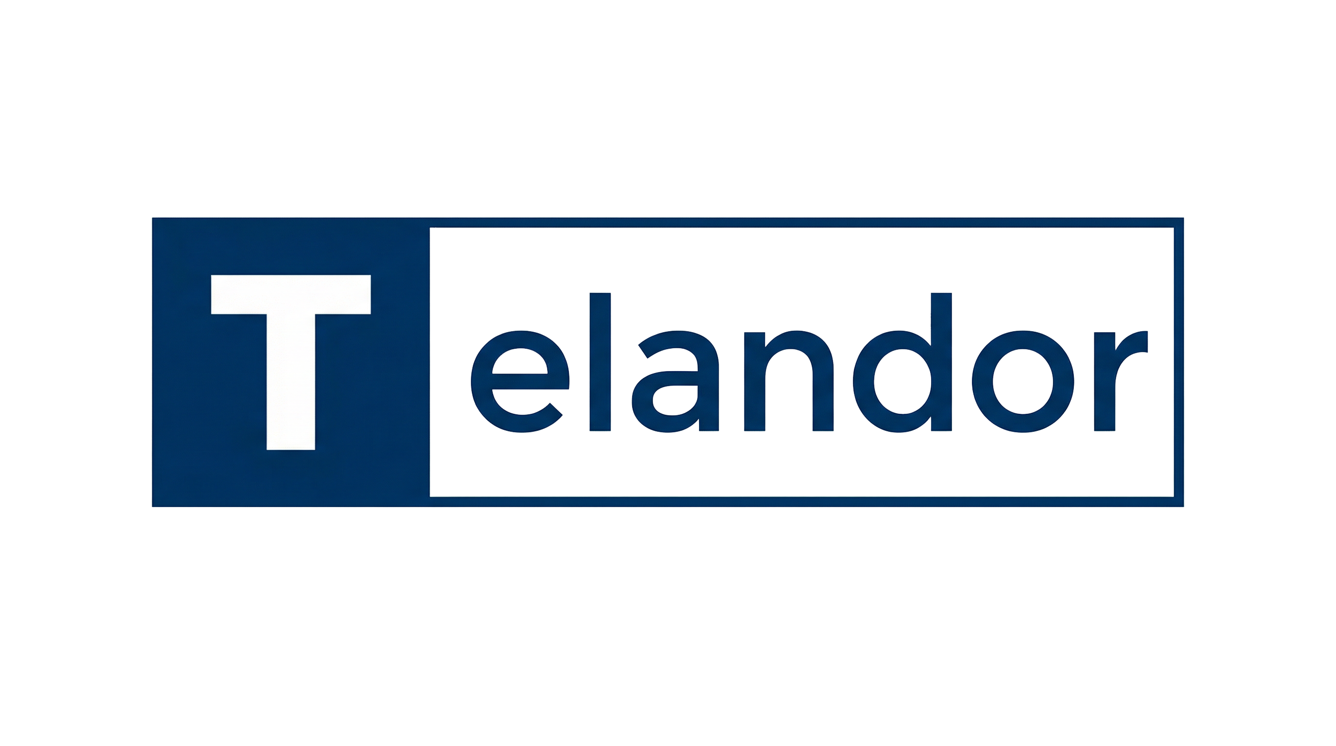 Telandor (shanghai) Logistics Technology Co., Ltd. logo