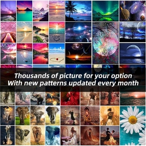 <strong>Custom</strong> Oil Painting by Number on <strong>Canvas</strong> for Adults 40x50cm Wall <strong>Art</strong> Diy Painting by Numbers - Product Image 6