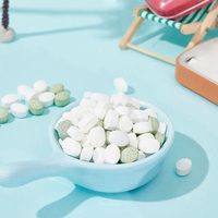 Suikervrije muntjes snoep, fruit smaak, frisse adem, geperste tabletten snoep, bulk groothandel OEM/ODM, op maat gemaakte private label snoepjes.