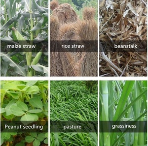 Shredder Chopping Professional for <strong>Mini</strong> Straw <strong>Chopper</strong> Hot Sale Agriculture Machine <strong>Hay</strong> Cutter/<strong>hay</strong> Chaff Cutter Grass <strong>Chopper</strong> - Product Image 6