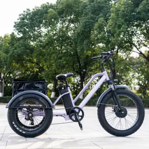 AIMOS 48V 750W de tres ruedas ebike triciclo eléctrico de 3 ruedas de carga de los triciclos de grasa de neumáticos de bicicletas eléctricas de tres ruedas para adultos