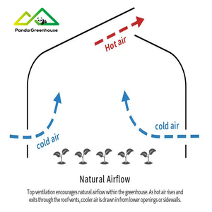 Polyfolie tunnelkas is zeer geschikt voor het kweken van diverse groenten, fruit en bloemen. - Product Image 5