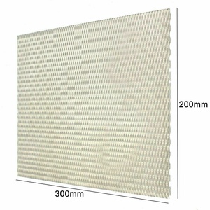 Lưới <span class=keywords><strong>Anode</strong></span> Titan Bạch Kim Cho Máy Điện Phân Nước PEM - Product Image 1
