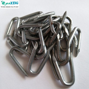 Clous en U galvanisés de 1 pouce pour la fixation du fil barbelé - Product Image 2