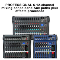 Mélangeur Sonore Professionnel 12 Canaux Personnalisé par le Fabricant, Console Audio DJ Amplifiée pour Système Sonore