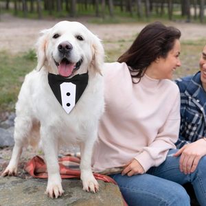 Tanpopo perro esmoquin traje boda Bandana pajarita Príncipe camisa Formal compromiso cumpleaños personalizado mascota perro <span class=keywords><strong>Collar</strong></span> Para Perro - Product Image 5