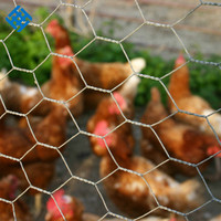 Grillage hexagonal galvanisé à chaud en gros, 1 pouce, 1-1/2 pouce, 2 pouces, BWG19, BWG18, 0,55 mm, 0,7 mm, pour grillage à poules, pliage et découpe