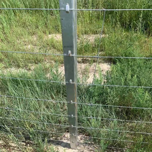 รั้วลวดหนามสเตนเลสสำหรับหมู่บ้านทำจากสังกะสี - Product Image 3