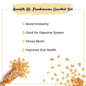 Huile de frankincense biologique 100% pure naturelle (<span class=keywords><strong>Boswellia</strong></span> Carterii) de qualité supérieure pour les soins de la peau, huile de frankincense en gros - Product Image 5