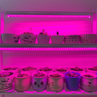 Durable DC12V Rouge Bleu Spectre Complet Serre Hydroponique Succulente Incassable Dimmable Flex T8 T5 LED Plant Grow Strip Light