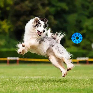 Juguete Interactivo para Cachorros con Compartimento para Comida, Resistente a Mordidas, para Limpiar los Dientes, Juguetes para Perros - Product Image 5