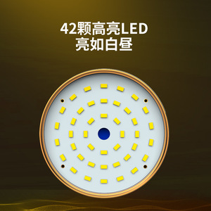 Tsuneyoshi – lampe de camping à 42 LED, haute luminosité, lampe portable d'extérieur pour tente, marché nocturne, usage domestique - Product Image 1