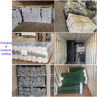 Cerca de Alambre Galvanizado con Recubrimiento de PVC, Certificado ISO y con Marca CE, de Alta Resistencia a la Tracción, Resistente a la Corrosión, para Sistemas de Seguridad Perimetral de Jardines