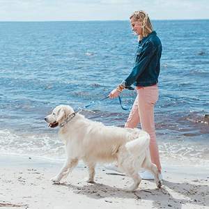 Metalen Hond Training <span class=keywords><strong>Prong</strong></span> Kraag Verwijderbare Zwarte Pet Link Ketting Verstelbare Rvs Spike Ketting Met Comfort <span class=keywords><strong>Rubber</strong></span> Tip - Product Image 6