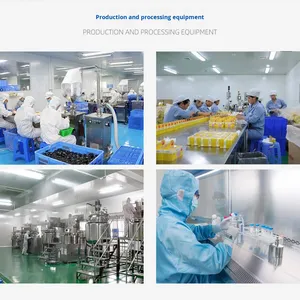 Vente en gros d'extraits de plantes, poudre de protéines de pois sauvage en bouteille, repas riche en protéines, substitut de repas, complément sportif - Product Image 4