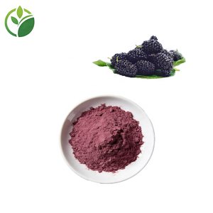 ผงผลมัลเบอร์รี่ธรรมชาติขายส่งจำนวนมาก คุณภาพสูง เกรดอาหาร ผงน้ำมัลเบอร์รี่ ผงสารสกัดจากมัลเบอร์รี่ แอนโทไซยานิน - Product Image 2