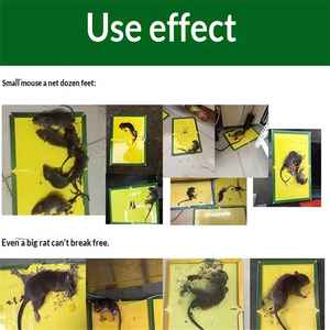 High Effective Foldable Rat <b>Glue</b> Board Super Sticky <b>Mouse</b> <b>Traps</b> Catcher Safe for Pet Home Kitchen Warehouse 5. - Product Image 3