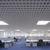 Panneaux de plafond suspendus décoratifs en métal de grille en aluminium de latte Hotsale