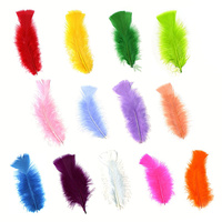 Plat 50pc paquet Turq longue plume de dinde pour bricolage artisanat cheveux Costume accessoire de pêche attachant matériel ornement frange décor