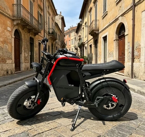 Vélo professionnel 48V Lithium 500W à suspension intégrale, cadre en aluminium, vitesse unique, batterie 13Ah, autonomie 45-55km, moteur arrière X11 haute puissance 500W - Product Image 1