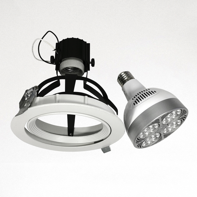 Adjustable LED Light Downlight for PAR 30 Housing Only