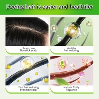 Champú en Gel para Coloración del Cabello Negro Fruta, Marca Privada, Sin Amoníaco, Coloración Permanente en Crema para Cabello Negro Manzana