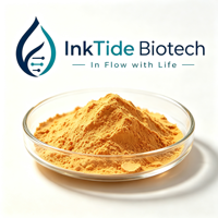 Poudre d'extrait de mangue séchée par pulvérisation, qualité alimentaire, soluble dans l'eau, pour boissons, pâtisseries, pigments et arômes, encre, Tide Biotech