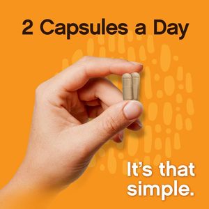 Natural Mushroom Complex Dietary Supplement <b>Powder</b> in Capsules OEM Private Label Customized Formula for <b>Energy</b> & Health - Product Image 5
