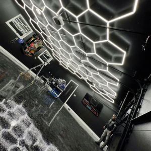 The Standard Linear LED Light for
