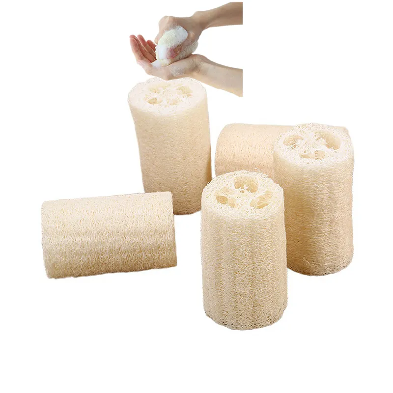 Luffa lononi Luffa biologique plante de douche de bain Luffa douche naturelle Luffa éponge épurateur de corps en gros