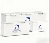 Congélateur horizontal commercial grande capacité à tubes de cuivre, OEM/Bonne réputation et longue durée de vie, pour la congélation de crèmes glacées