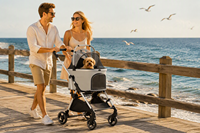 Poussette pour animaux de compagnie détachable, pliable, légère, imperméable et réglable, chariot portable pour chat et chien, 4 roues, transporteur de voyage en plein air