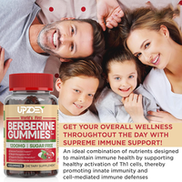 Gommes à la berbérine sans sucre avec cannelle de Ceylan 1200 mg soutient la fonction immunitaire pour les soins cardiovasculaires et gastro-intestinaux