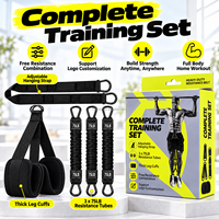 Ensemble d'entraînement complet : Tubes de résistance robustes avec sangles de jambe et sangle de suspension réglable pour un entraînement complet du corps à domicile