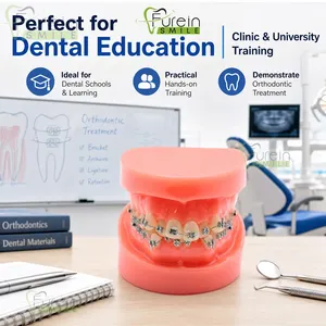 Modèle orthodontique d'inalignement dentaire, modèle de démonstration de malalignement dentaire avec supports pour la formation et l'éducation des dentistes - Product Image 6