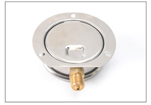 Высокоточный 6-дюймовый санитарный плоский мембранный манометр все из нержавеющей стали уплотнение бар/кг/см блок - Product Image 5